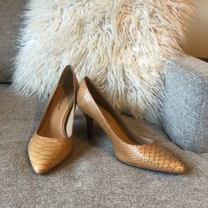 Antonio Melani snake print pumps